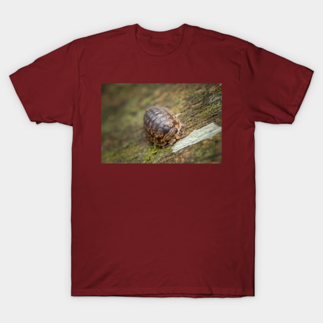 A furious looking woodlouse T-Shirt by AvonPerception